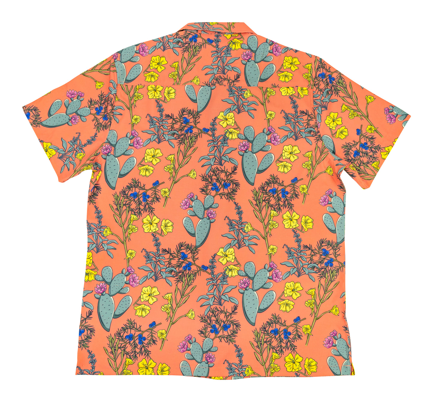Desert Aloha